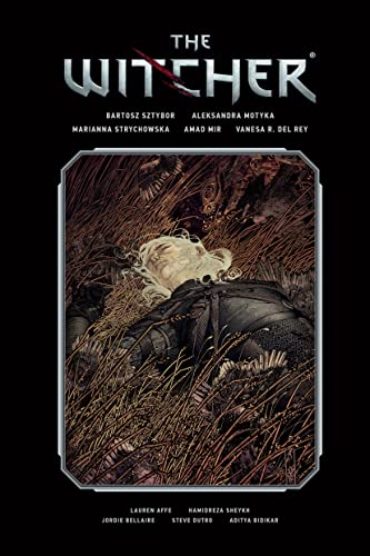 WITCHER LIBRARY EDITION HC VOL 02
