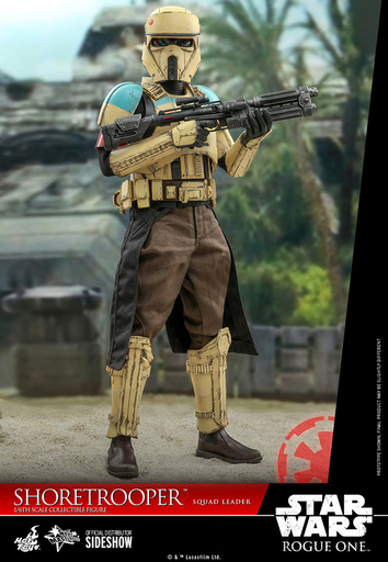 Hot Toys - Star Wars Shoretrooper Squad Leader MMS592 (open Box)